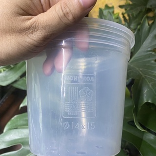 Chậu nhựa cứng trồng cây SIÊU XỊN SÒ TKC trong suốt kích thước 14x15 cho kiểng lá, sen đá, xương rồng