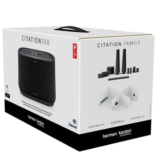 Loa Harman Kardon Citation 300