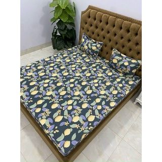 Sét gối và ga chun chần bông