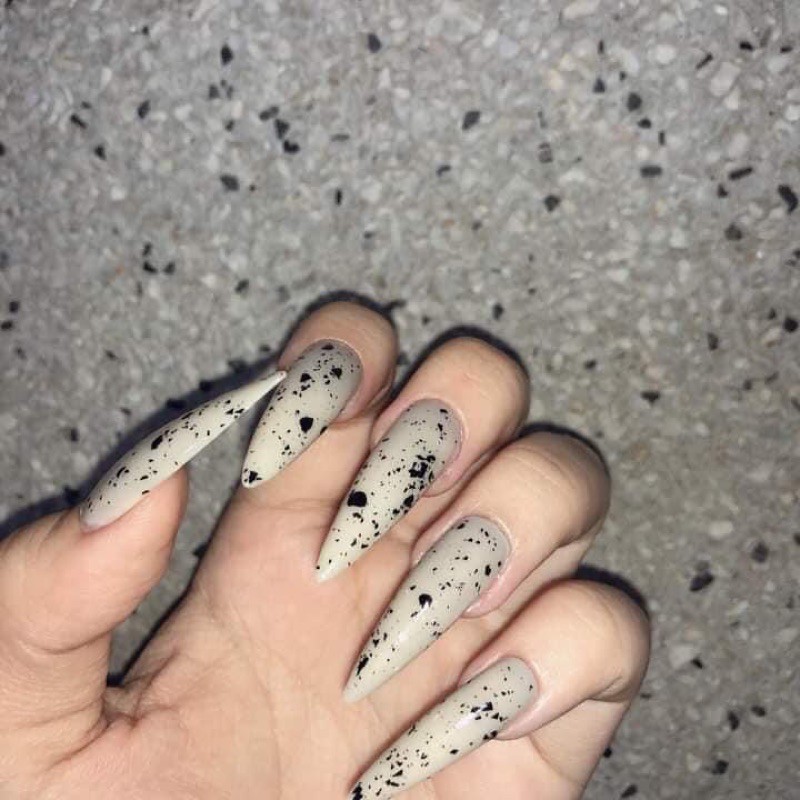 Top trứng cút siêu hothit