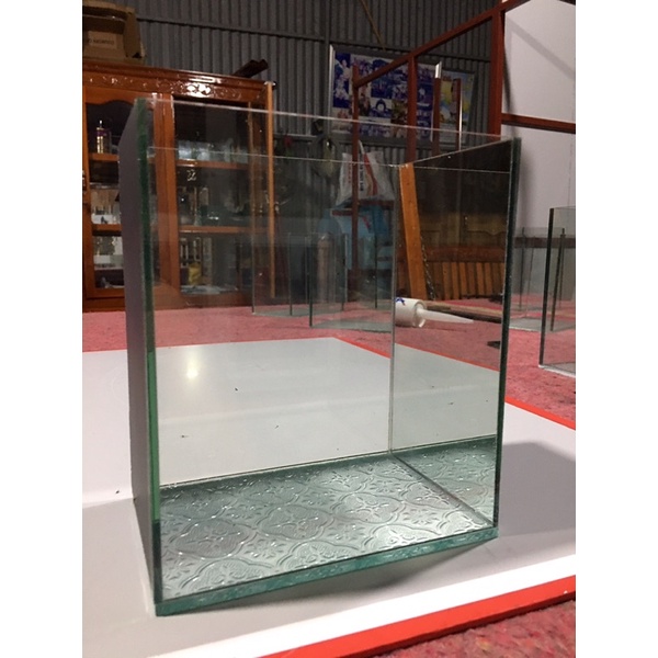 Hồ show cá guppy,betta,liathia