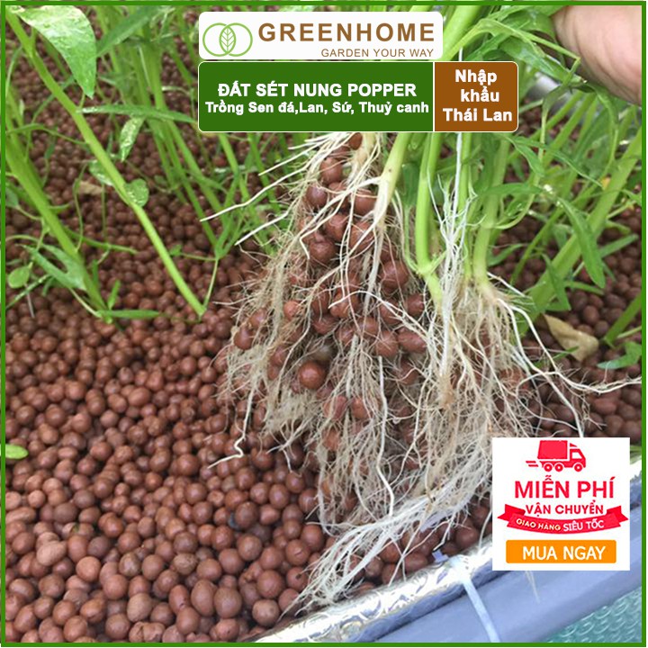 [Freeship 70K] Bộ 2 Bao 6 lít size XL Đất sét nung Popper Thái Lan- Trồng sen đá, trồng lan, trồng cây sứ, thuỷ canh.