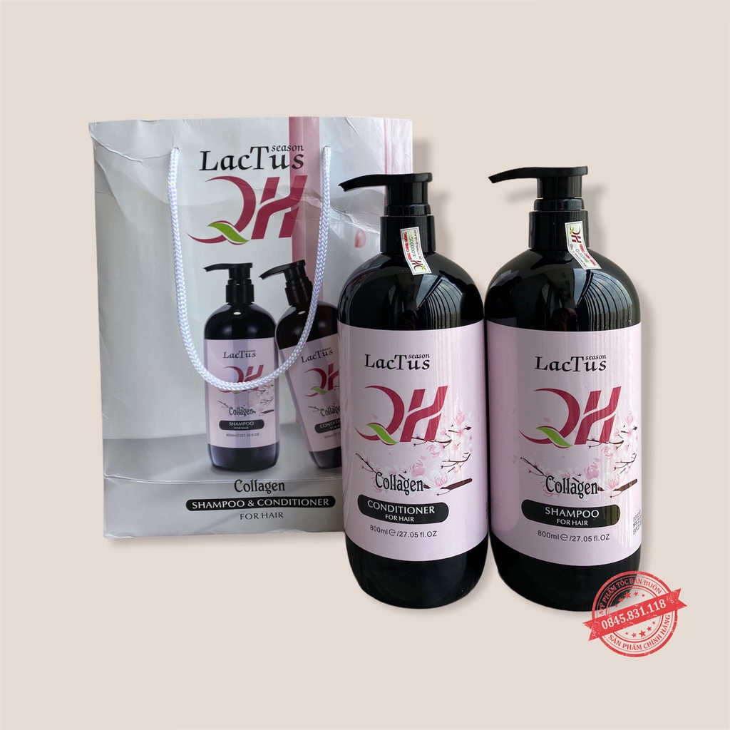 Dầu gội đầu ngăn rụng tóc QH Lactus season dầu gội da dầu, ngăn gàu