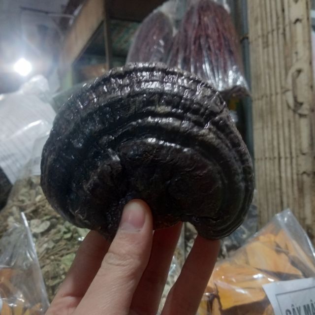 Nấm linh chi đen 1kg