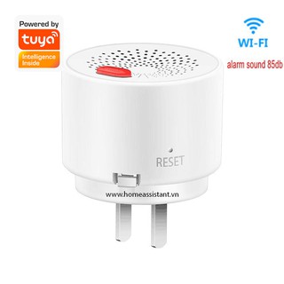Cảm biến báo động rò rỉ khí gas wifi zigbee tuya ga03 hass