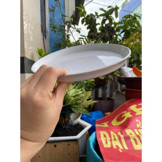 Chậu nhựa bom lùn có 2 size (có dĩa lót)
