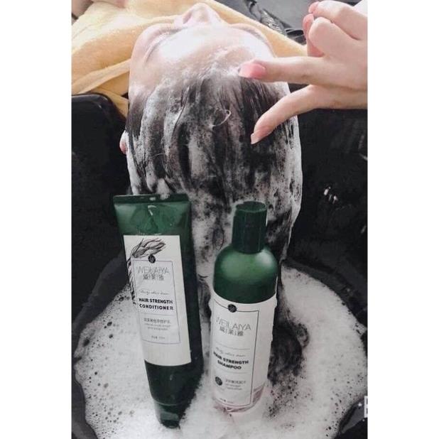 Dầu gội gừng trắng Weilaiya giảm rụng, kích mọc tóc cho tóc nhanh bết Weilaiya Ginger Shampoo 400ml- Tem trắng