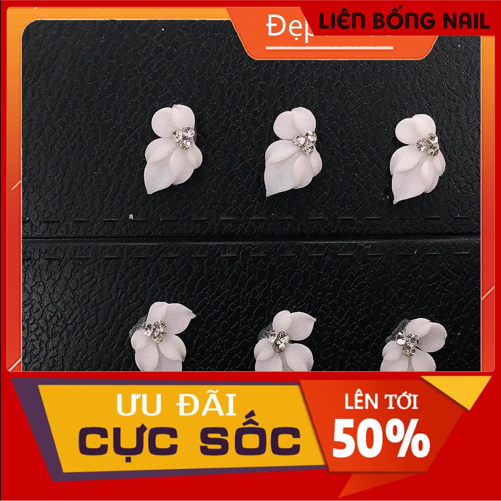 Hoa bột nail- hoa góc móng