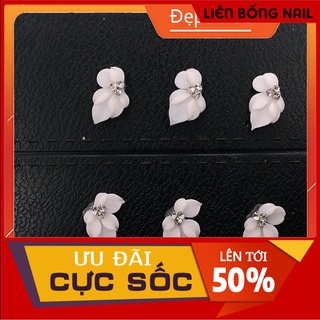hoa bột nail- hoa góc móng