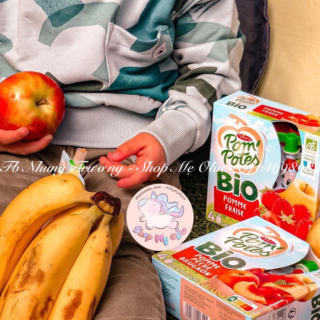 [SHIP AIR] Trái cây nghiền / Sinh tố trái cây hữu cơ Materne Pom'Potes Pháp cho bé 6M,ko chứa đường 90g