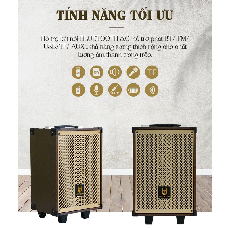 LOA KÉO BLUETOOTH XÁCH TAY KARAOKE KÈM MICRO CAO CẤP, BASS 25 CÔNG SUỐT 40W - HÀNG CHÍNH HÃNG