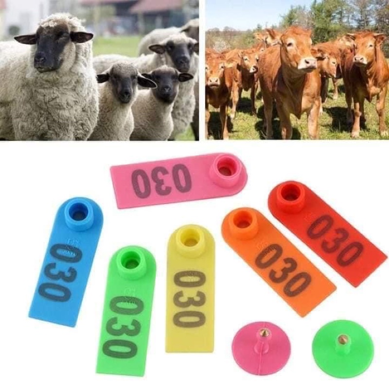 Dụng cụ bấm lỗ tai cho bò, heo, dê đeo thẻ phân biệt - Kìm bấm lỗ tai - Hà Vân Store