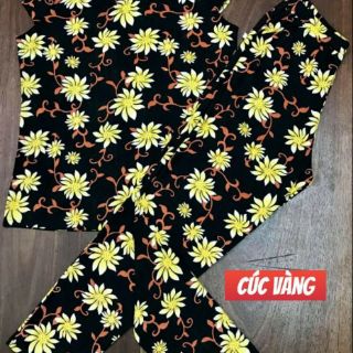 ĐỒ BỘ MẶC NHÀ TRUNG NIÊN