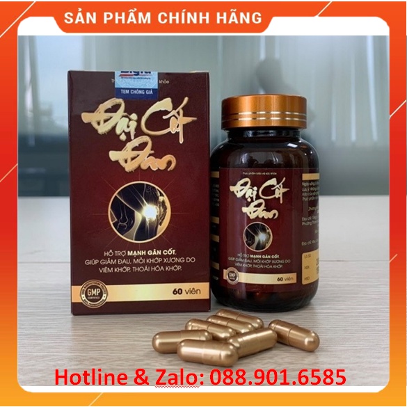 ✅ ĐẠI CỐT ĐAN ❤️ Lựa Chọn Cho Người ĐAU NHỨC XƯƠNG KHỚP