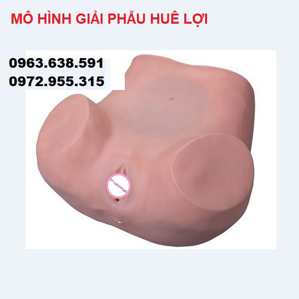 MÔ HÌNH THỰC HÀNH KHÁM PHỤ KHOA