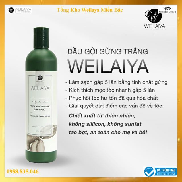 Dầu Gội Đầu Weilaiya Tinh Chất Gừng Hỗ Trợ Mọc Tóc Và Ngăn Rụng Tóc Kích Thích Mọc Tóc 400ml