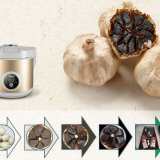 Máy làm tỏi đen Sunca SFG100
