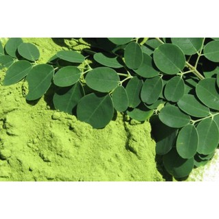 500gr bột chùm ngây hàng cao cấp