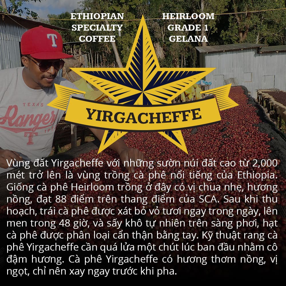 120g Specialty Coffee Nguyên Hạt Ethiopia Yirgacheffe Cà Phê Hảo Hạng Exquisite®