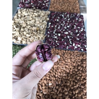 500g Nhân óc chó đỏ