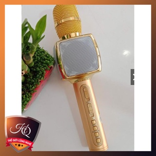 Micro Bluetooth hát Karaoke SD-16 16W