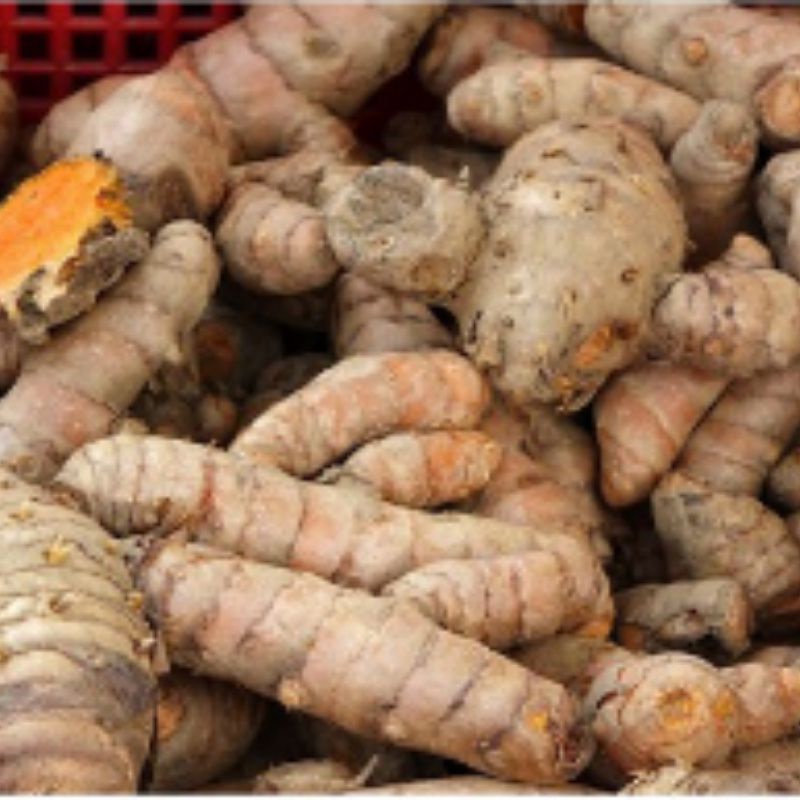 1 Kg Nghệ Ta Ruột Vàng Miền Bắc Giá Sỉ