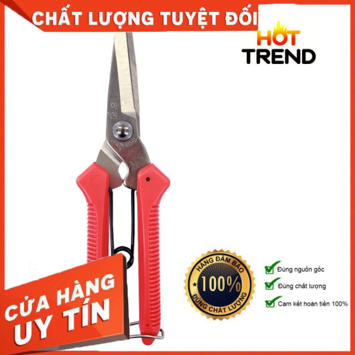 [SALE] Kéo cắt thịt gà số 1 Hàn Quốc Hợp kim siêu chắc an toàn thực phẩm tươi sống P300