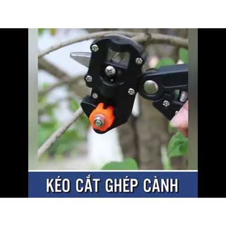 Kéo cắt ghép cây ,  chiết cành, Kìm cắt chiết mắt ghép  (loại 1)
