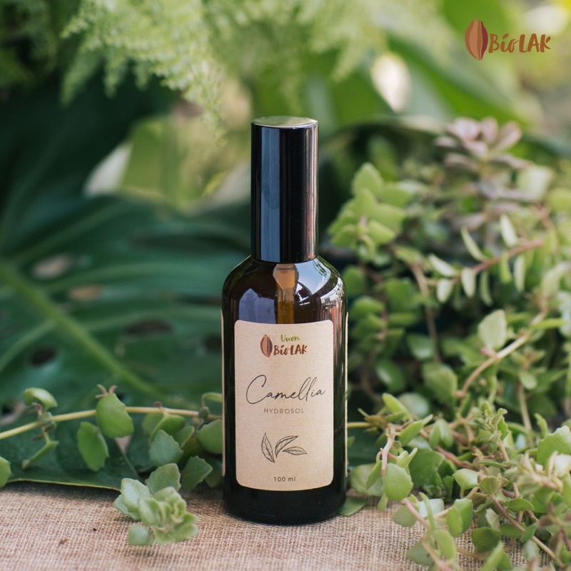 Hydrosol Camellia – Nước cất trà xanh, trà hoa đỏ Bio LAK 100ml và 350ml