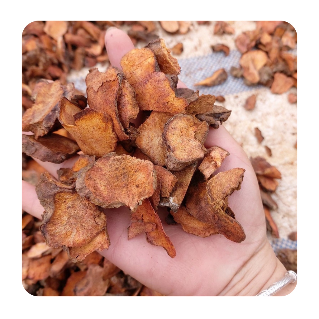 Thổ phục linh ( củ khúc khắc )  khô loại 1 hỗ trợ về xương khớp | BigBuy360 - bigbuy360.vn