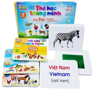 Bộ thẻ học thông minh 12 chủ đề cho bé loại to tặng kèm bộ chữ cái và số (270 thẻ)