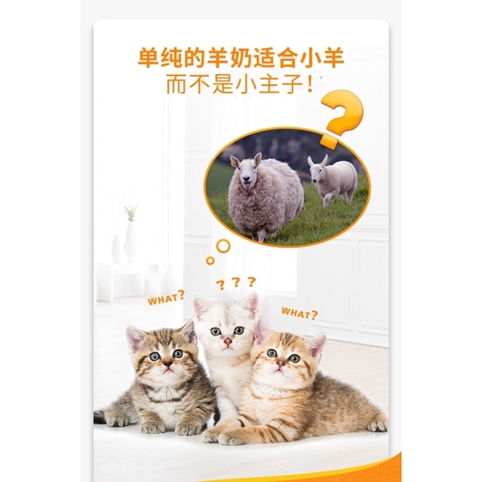 Sữa cho mèo InBasic Sữa bột cho mèo sơ sinh Sữa dê dinh dưỡng tăng cân NourseVietnam IN16