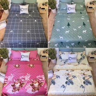 Bộ chăn ga gối cotton poly combo 5 món - nhiều mẫu lựa chọn ca bedding decor