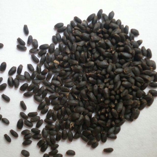 Hạt é 500gr
