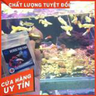 Thuốc bắc dưỡng cá cảnh