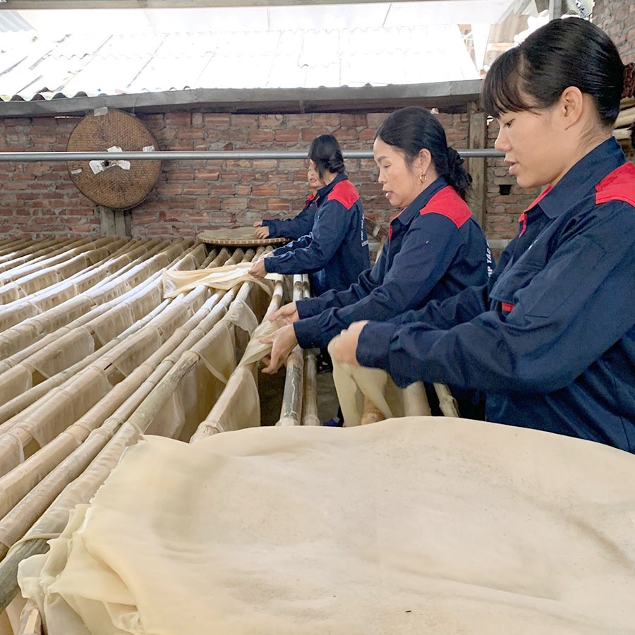 Miến đao sâm  Bát xát_Lào Cai gói 500g