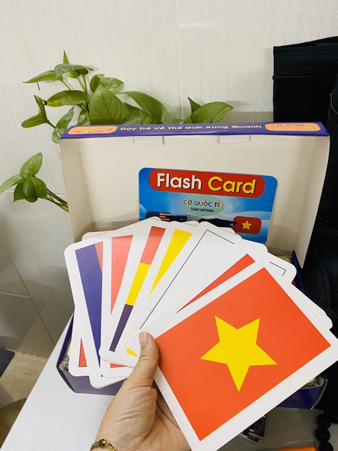 Bộ Thẻ Học Thông Minh 15 Chủ Đề loại to song ngữ tiếng Anh loại chuẩn Glenn Doman Flashcard cho bé từ 0-6 tuổi