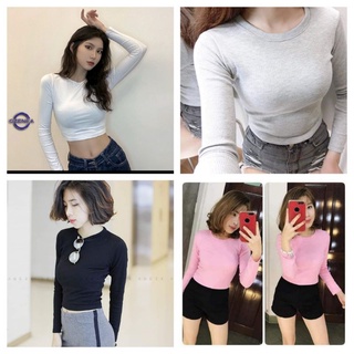 Áo croptop tay dài