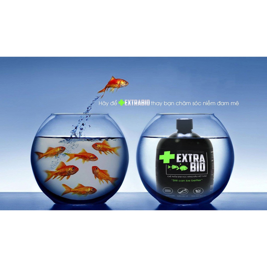 Vi Sinh Extra Bio Làm Trong Nước 500ml