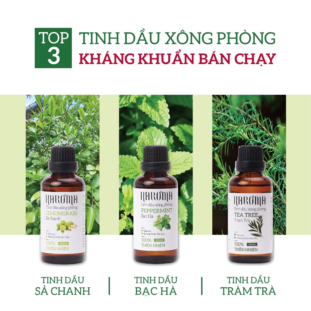 Tinh Dầu Thơm Phòng Ngủ, Tinh Dầu Thiên Nhiên Nguyên Chất Kháng Khuẩn, Đuổi Muỗi, Khử Mùi KAROMA 50ml - 100ml (Chai)