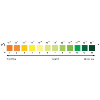 GIẤY QUỲ TÍM TEST PH
