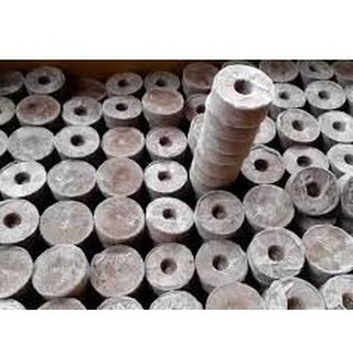 COMBO 50 VIÊN NÉN XƠ DỪA ƯƠM HẠT [HOT] (Hàng Loại 1)