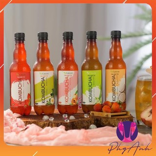 Trà bất tử Kombucha Vgreen chai nhựa 330ml Combo 5 chai