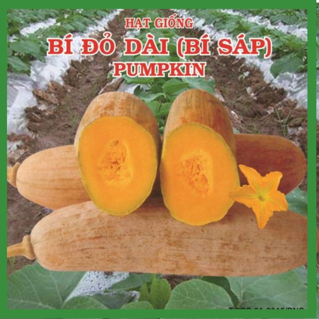 Hạt giống bí đỏ dài (bí sáp) Phú Nông CHẤT LƯỢNG CAO