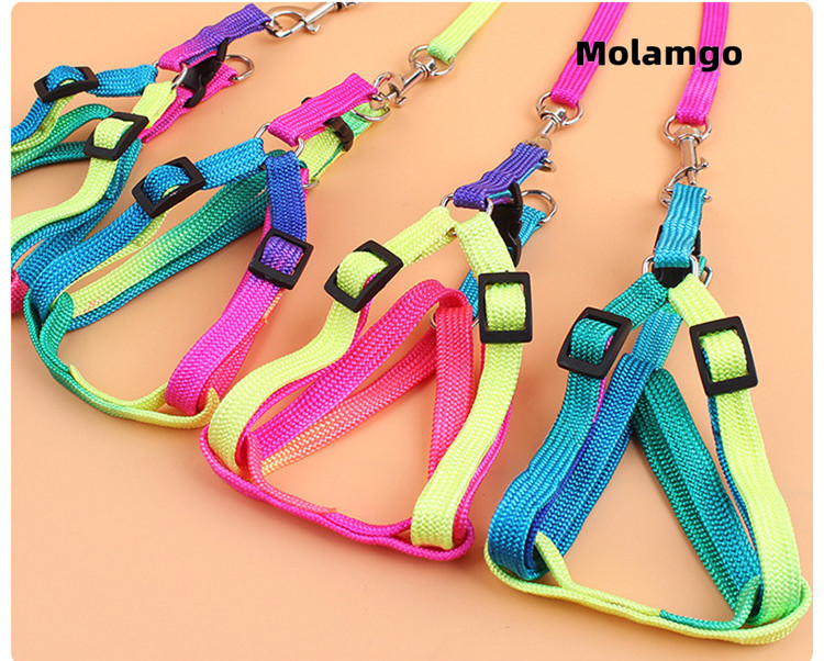 Dây Dắt Thú Cưng Đi Dạo Nhiều Màu Sắc