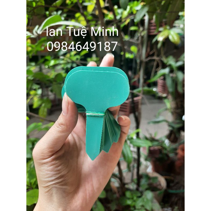 Set 50 Thẻ Cắm Nhiều Màu Ghi Tên Cây, Thẻ Ghi Tên Lan - Đánh Dấu Thông Tin Cây - Loại Nhựa Mềm