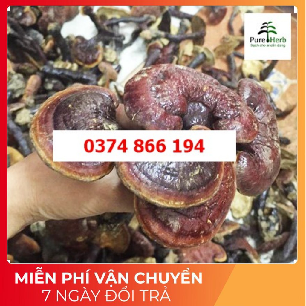 Nấm lim xanh Ba Chẽ 500gram