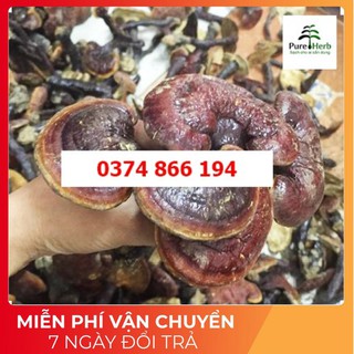 Nấm lim xanh Ba Chẽ 500gram