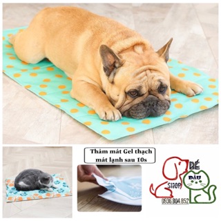 Đệm gel siêu mát cho thú cưng Pet Cooling Mat