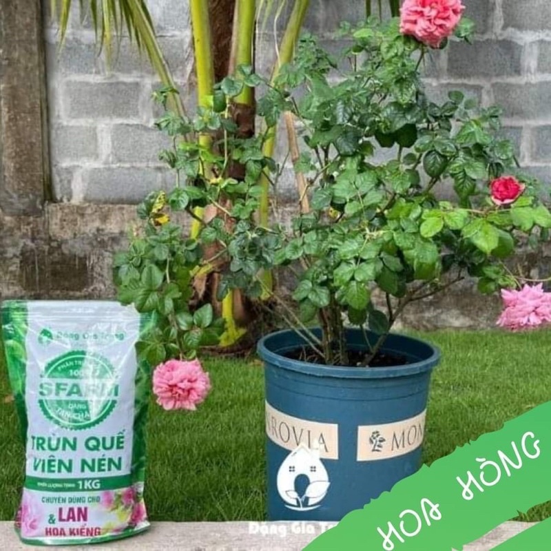 PHÂN TRÙN QUẾ VIÊN NÉN TAN CHẬM SFARM GÓI 1kg, Phân Bón hữu cơ chuyên lan và cây kiểng